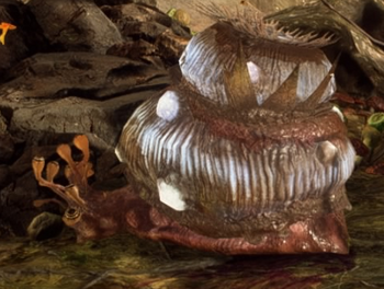 FelucianSnailBFII