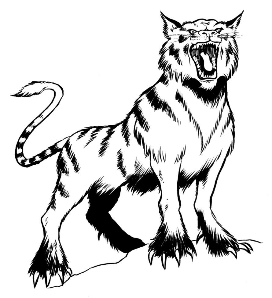 Ralltiir tiger appearance in Common Appearance