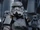 Night Trooper