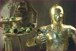 Lufba achter C-3PO