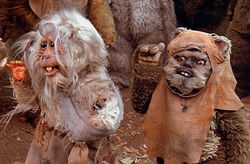 Teek and wicket