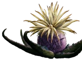 Tuber maw