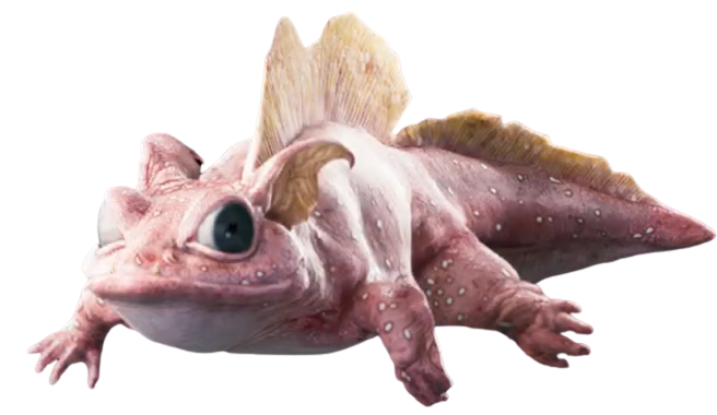 Salamander appearance 