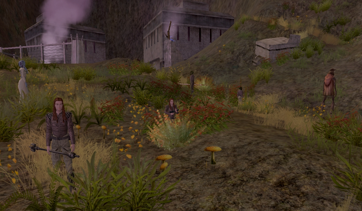 The Flail appearance 