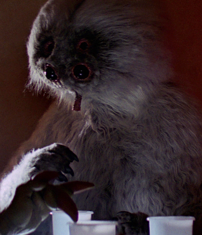 Muftak, a Talz who resided in Mos Eisley on Tatooine.