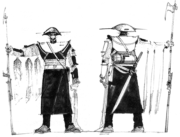 Taloron Hunter armor featured a wide helmet and plates.