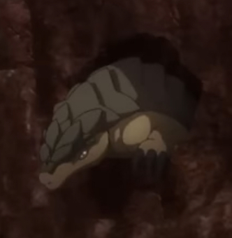 Guaqa appearance 