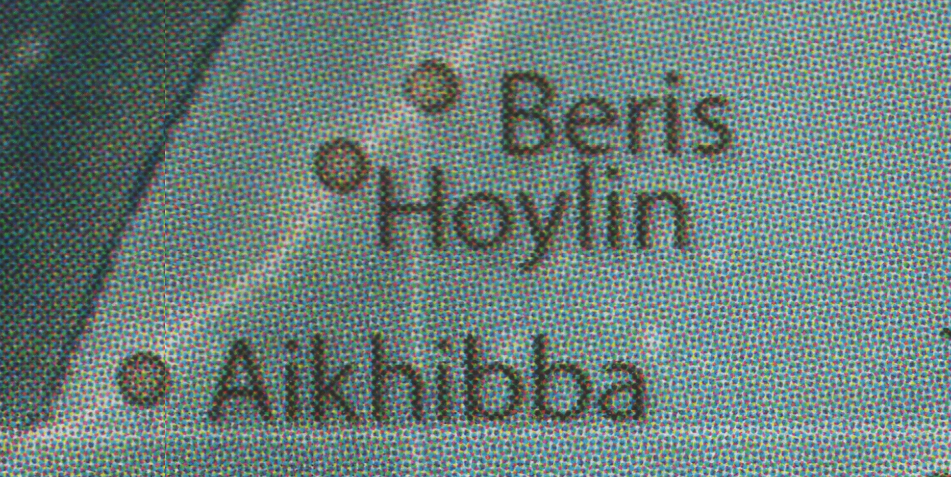 Hoylin appearance 