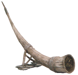 Wharlithan horn appearance in Common Appearance