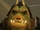 GamorreanBounty.jpg