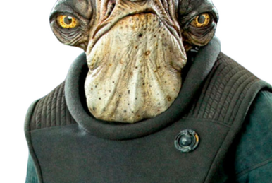ギアル・アクバー | Wookieepedia | Fandom ギアル・アクバー | Wookieepedia | Fandom