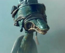 Mars Guo tijdens de race