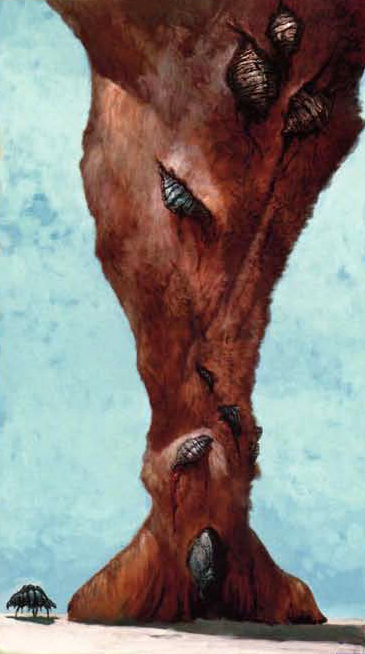Sand tick appearance 