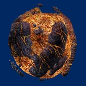 A silicaceous asteroid located in the Corellia system