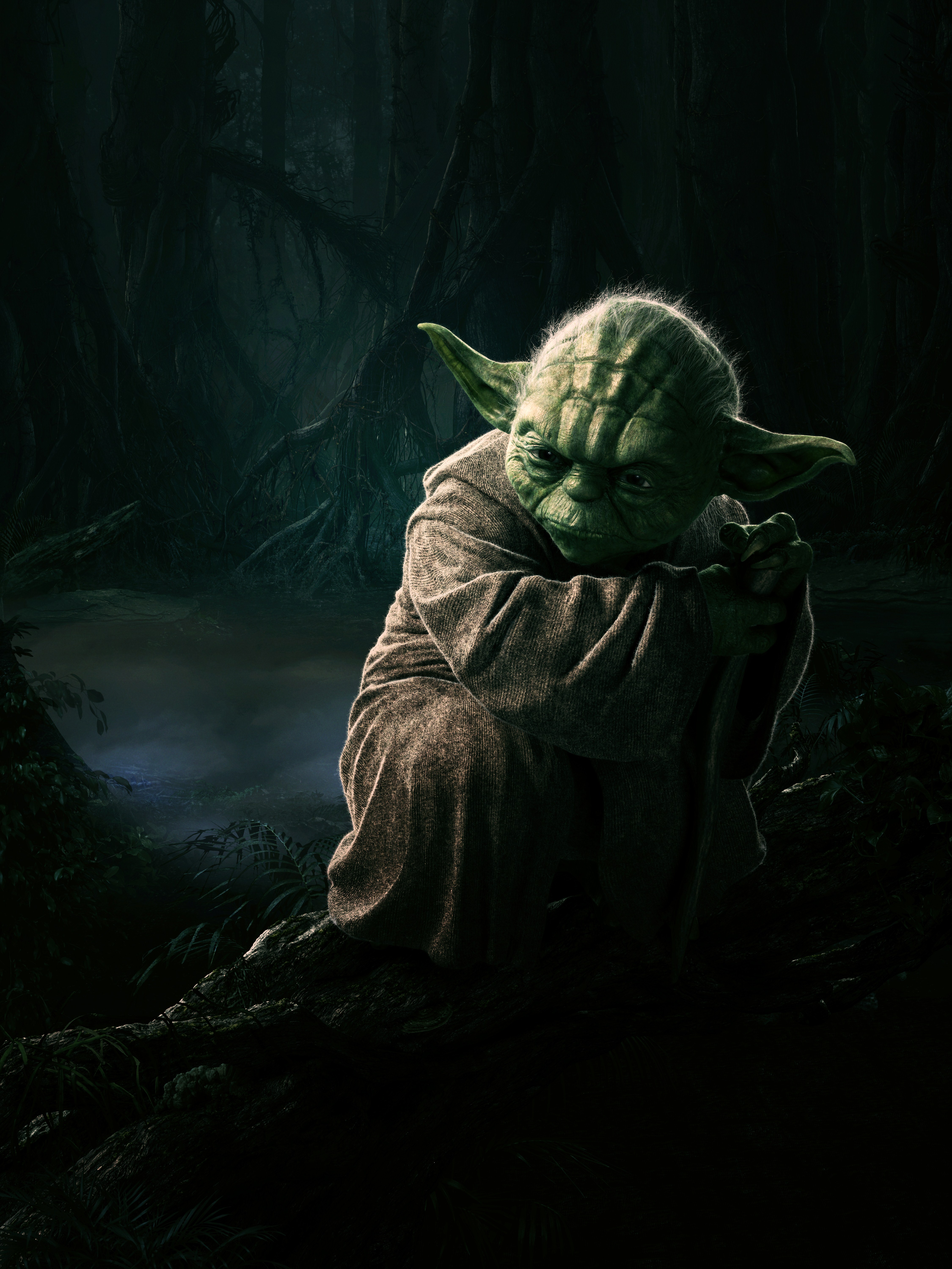 Yoda, whom Starkiller meets on Dagobah in the game