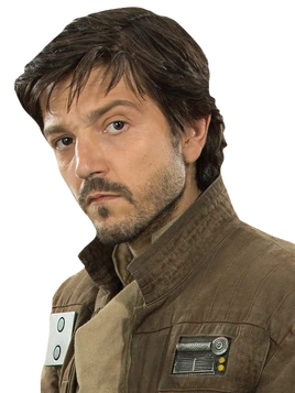 Cassian Andor Fathead