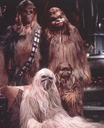 Chewbacca's familie