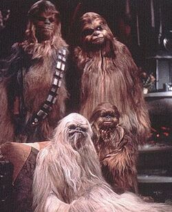 Chewie familie