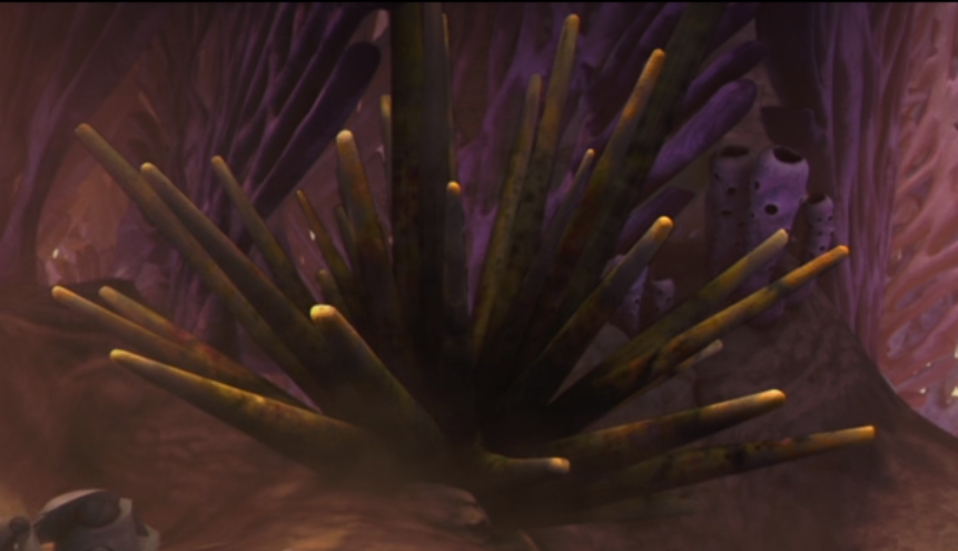 Trident cluster coral appearance 