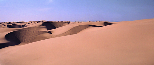 Dune Sea