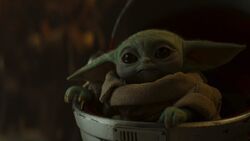 グローグー Wookieepedia Fandom