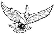 Manollium Bird