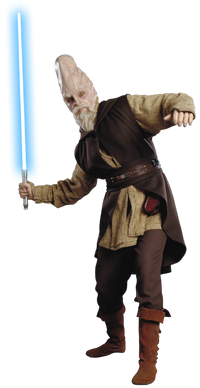 Jedi Master Ki-Adi-Mundi was proficient in Form II.