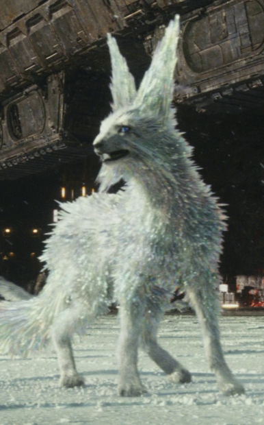 A vulptex on the salt-covered surface of Crait