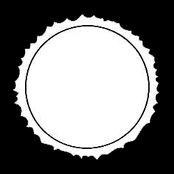 Bissillirus appearance in Common Appearance