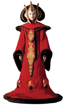 queen amidala dress Brass & Roe Tali Textured Knee Dress main image 0