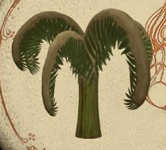 Abeloth had control over her planet's carnivorous vegetation, which included ferns (pictured).