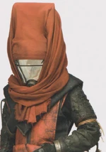 Iselo met masker aan