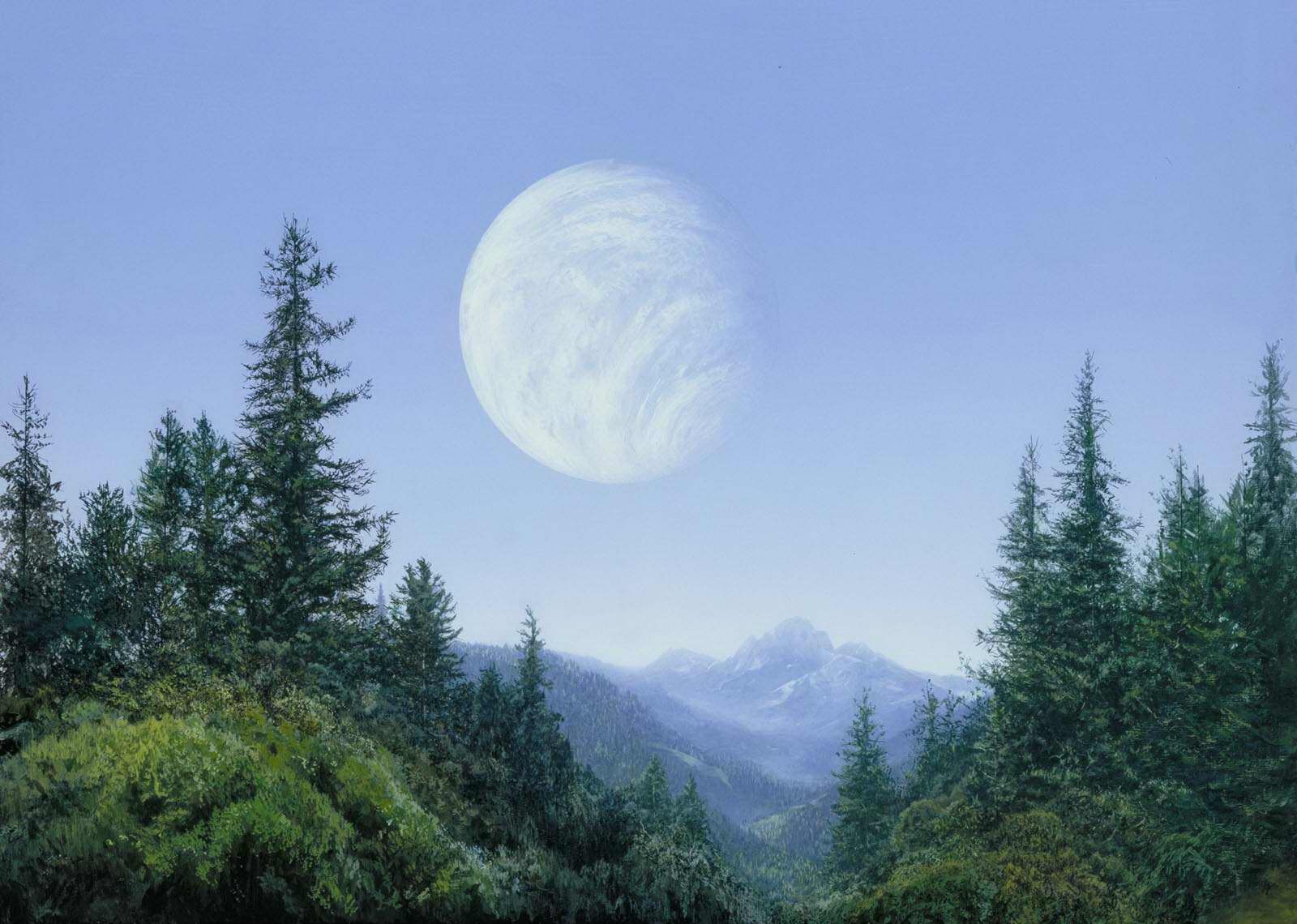 star wars planet endor