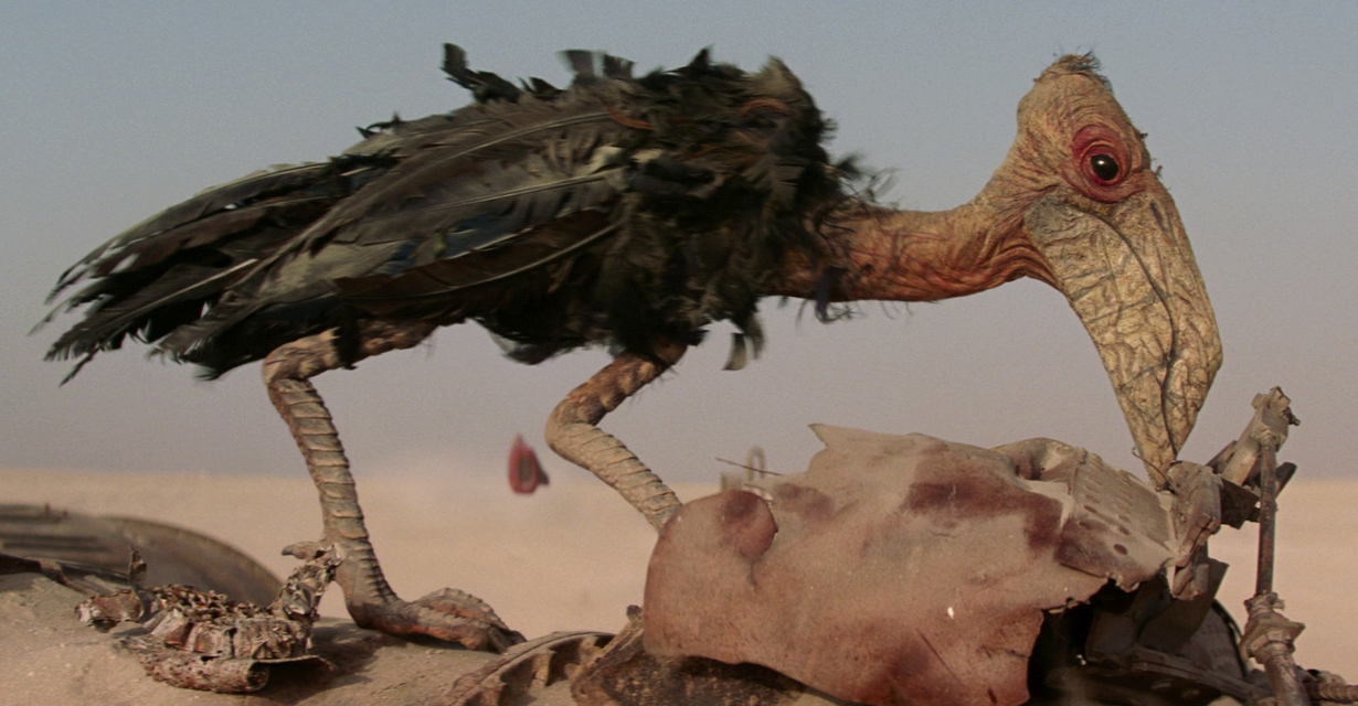 Steelpeckers fed on the metals from all the crashed ships and vehicles scattered across the Jakku desert.