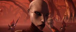 Ventress Dathomir