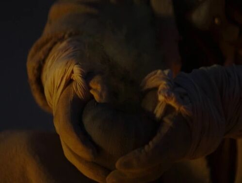 Black-melon-chapter9