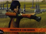 Property of Ezra Bridger (book)