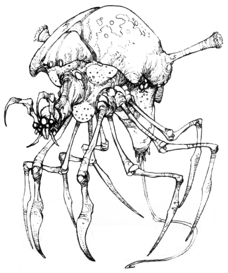 Arachnor appearance in Common Appearance