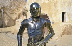 Nobot