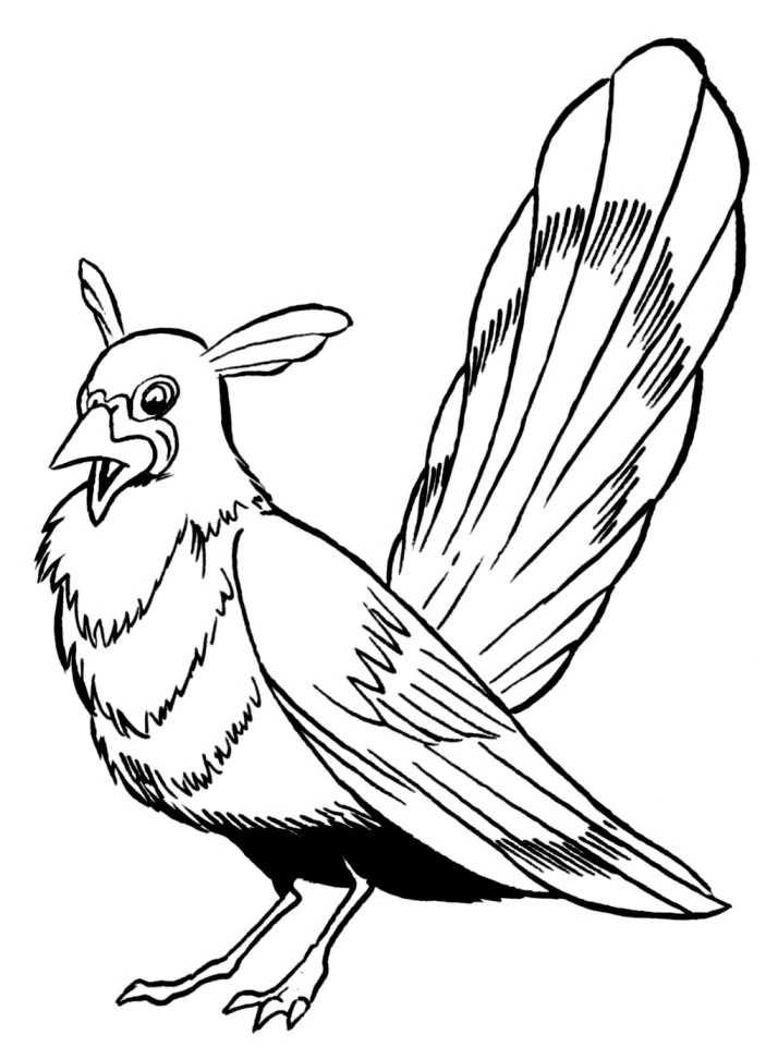 Bimmisaari tiga loreng | Wookieepedia | Fandom