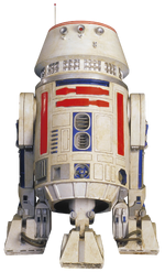 R5D4-CGSWG