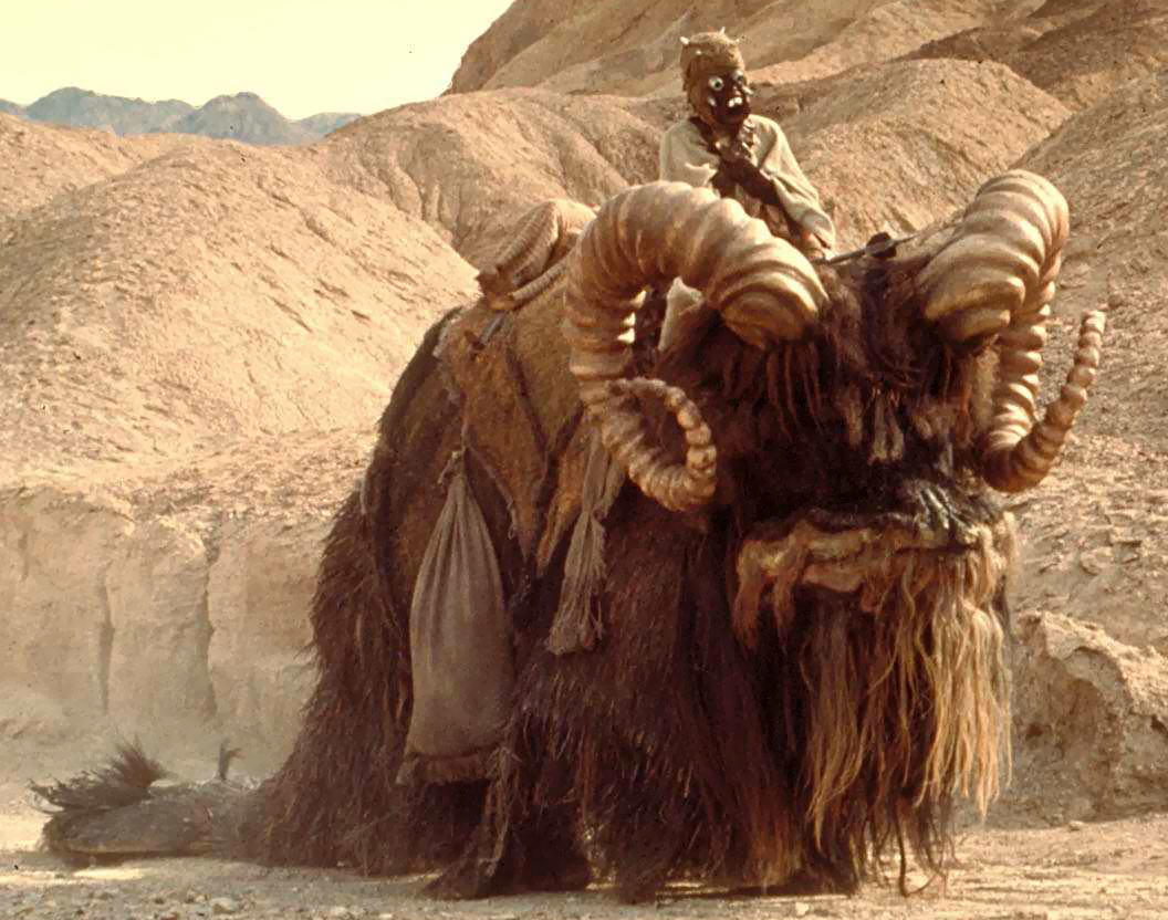 Fluffy/hairy bantha.