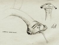 Corellian grass snake concept art