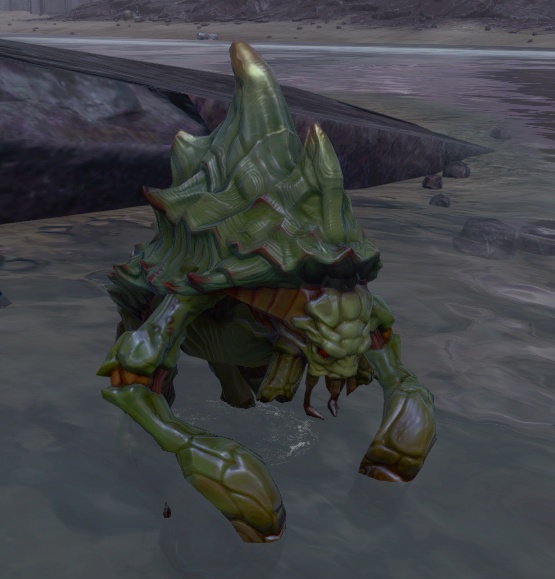 Spikeshell appearance 