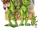 Dulok/Legends