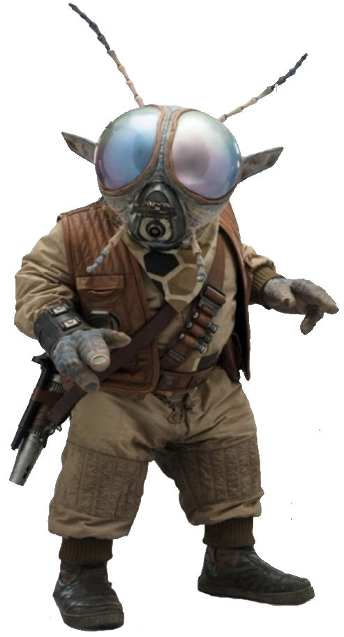 ウィジク モザー Wookieepedia Fandom ウィジク モザー Wookieepedia Fandom