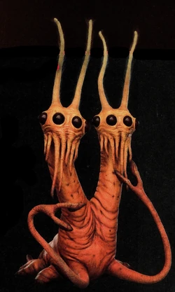 Danzikan