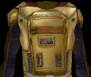 Echani battle armor