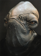 Admiral Raddus eye test 2, Martin Rezard[62]