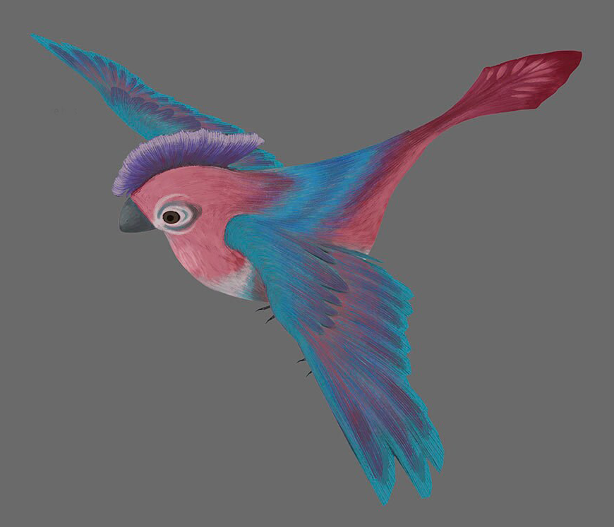Lau bird appearance 